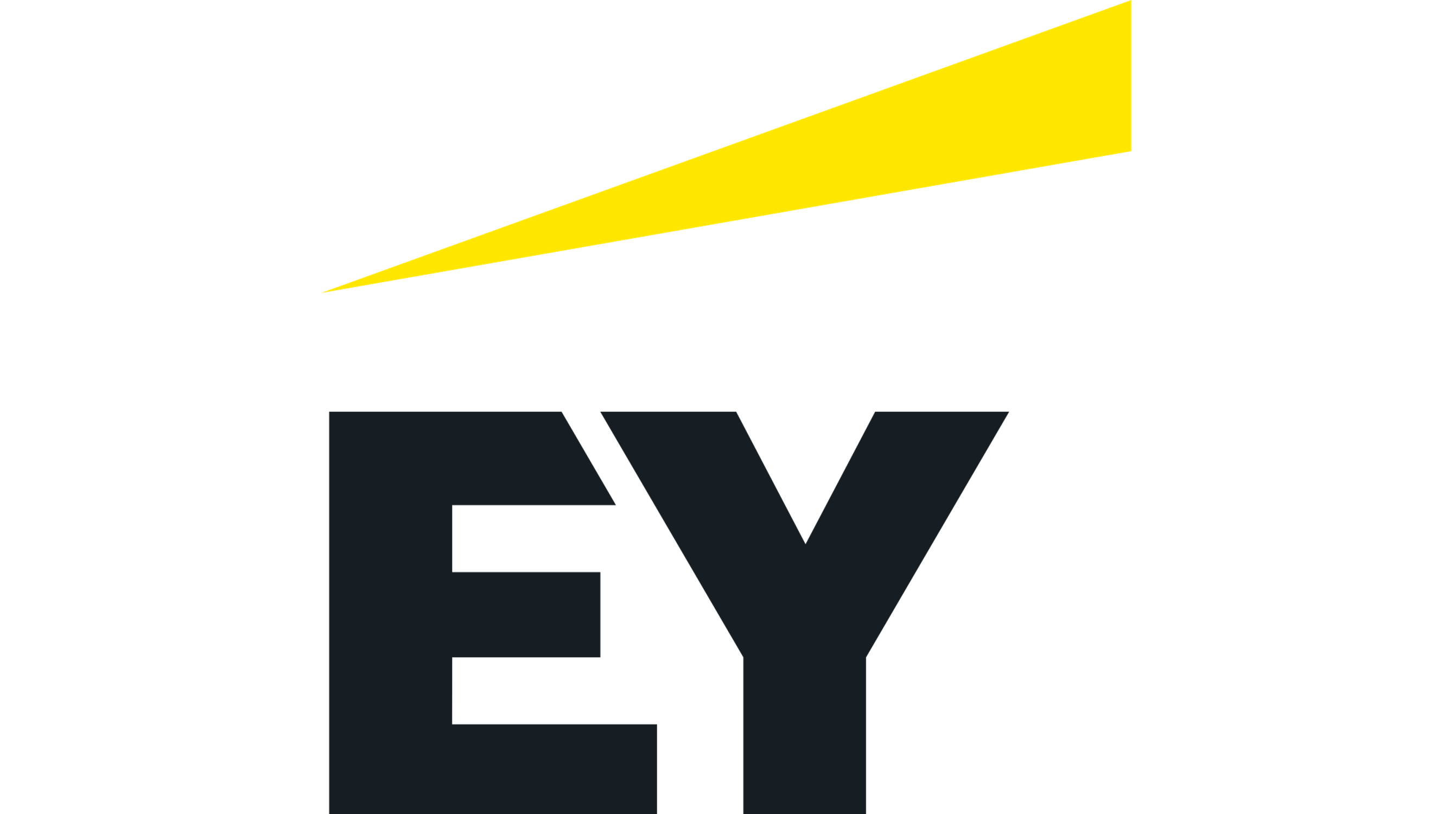 Ernst & Young - Vector Skill Academy alumni work at EY